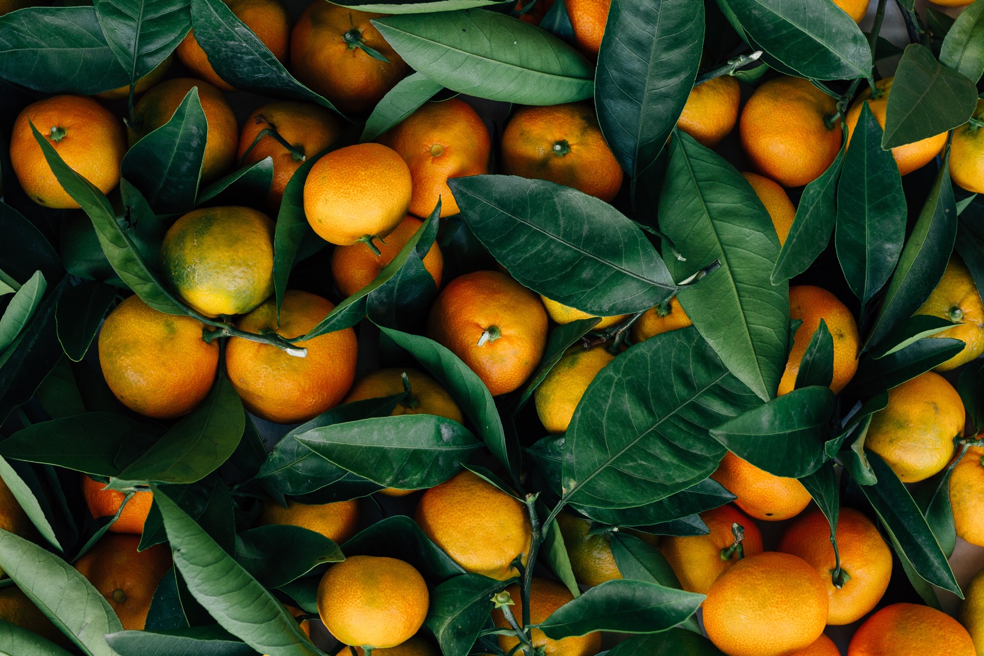 Gartenfrisch Lübeck ist Ihr Lieferant für Obst, Gemüse, Feinkost & Non-Food